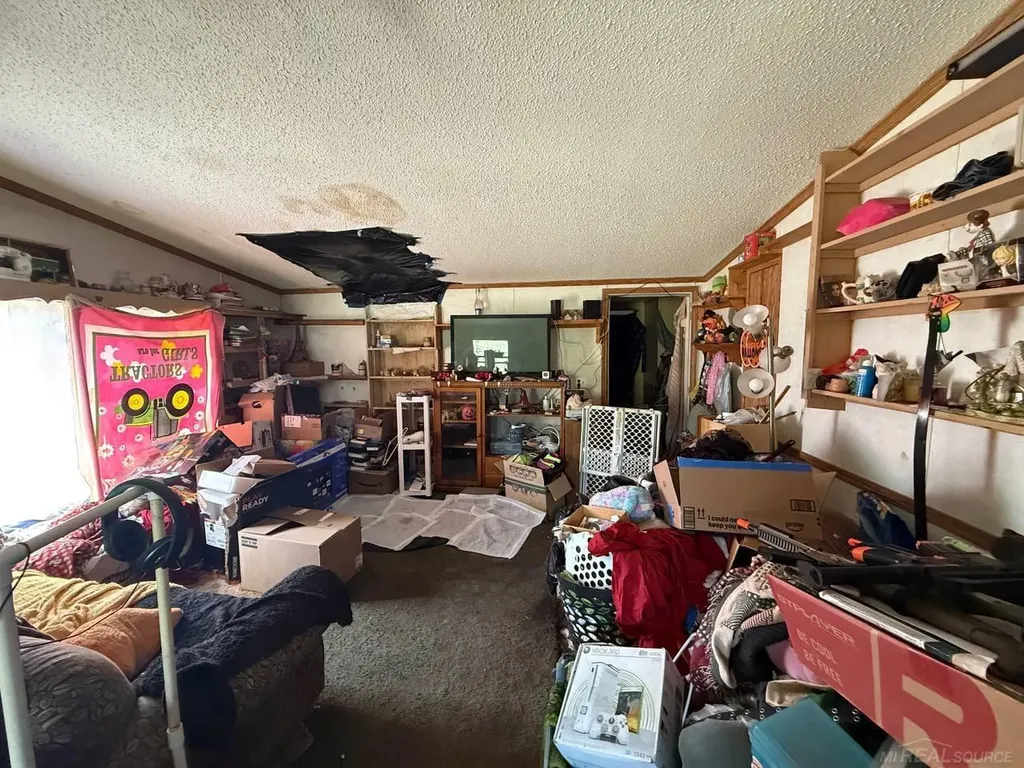 397 S Pioneer Road Homestead Township MI 49617