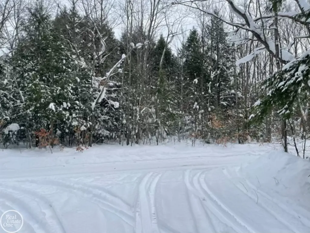 Vl Kenyon Trail Otsego Lake Township MI 49733