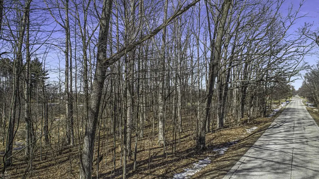 395 S Lake George Road Attica Township MI 48412