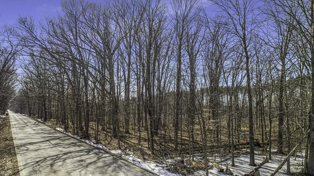 395 S Lake George Road Attica Township MI 48412