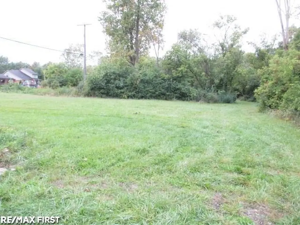 36069 Eaton Drive Clinton Charter Township MI 48035