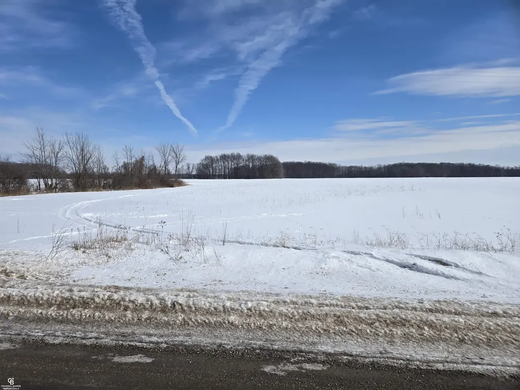 0 Fargo Vl Road Greenwood Township MI 48006
