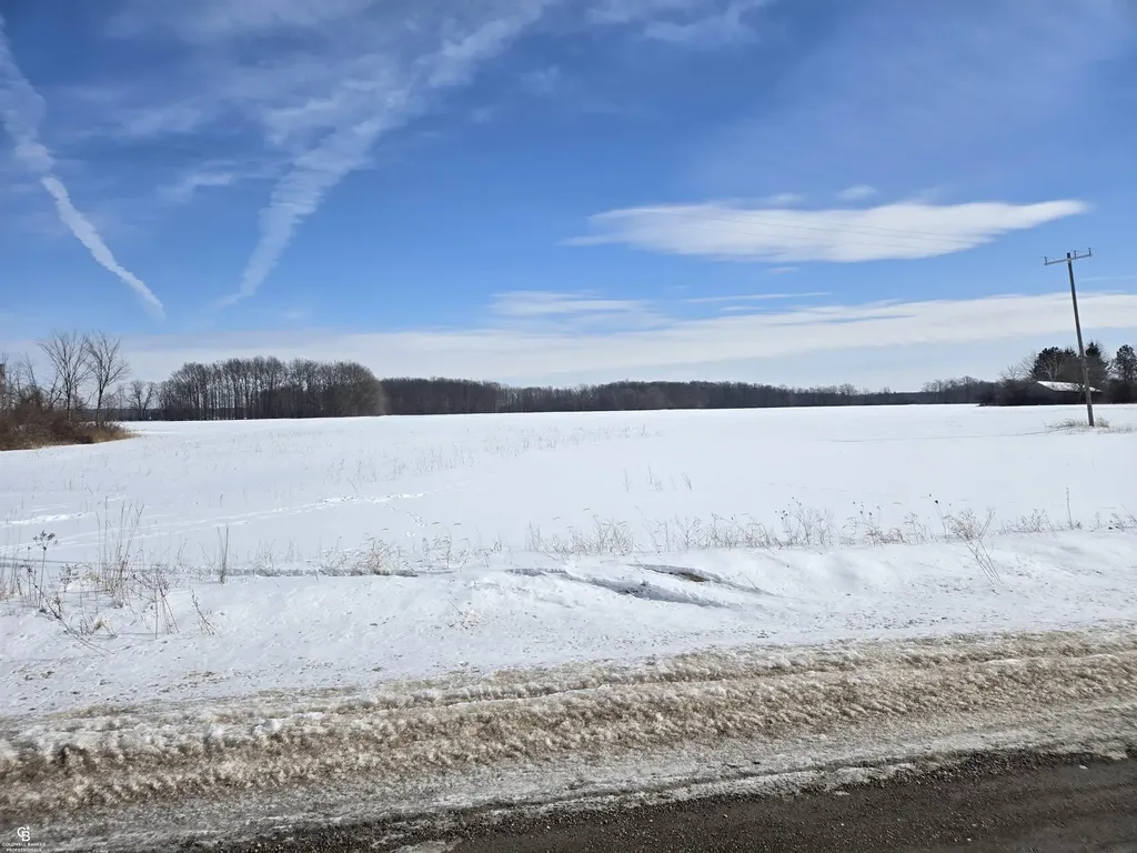 0 Fargo Vl Road Greenwood Township MI 48006
