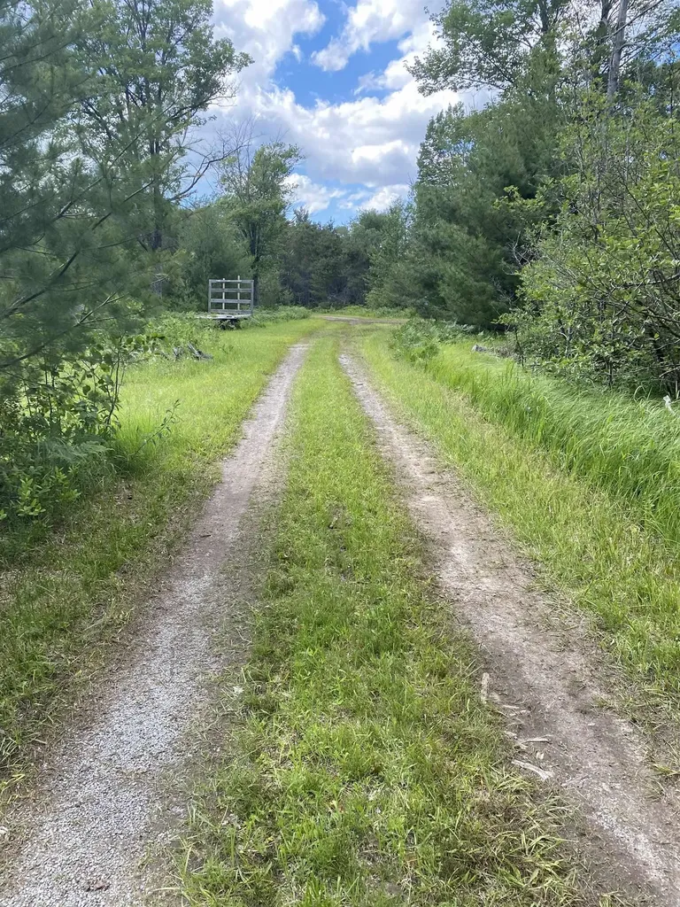 4011 Sandall Road Maple Ridge Township MI 49707