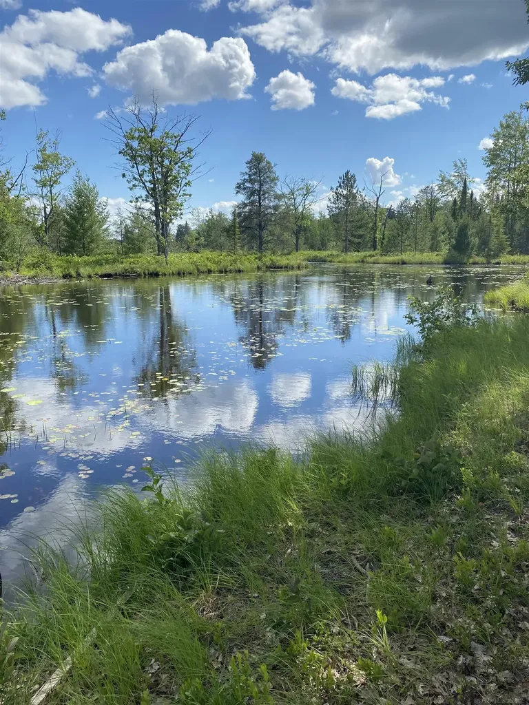 4011 Sandall Road Maple Ridge Township MI 49707