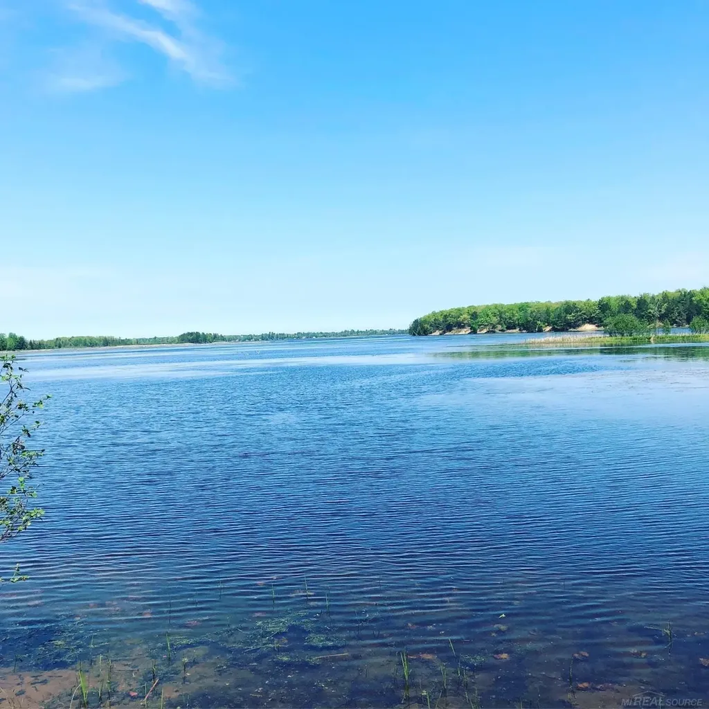4011 Sandall Road Maple Ridge Township MI 49707