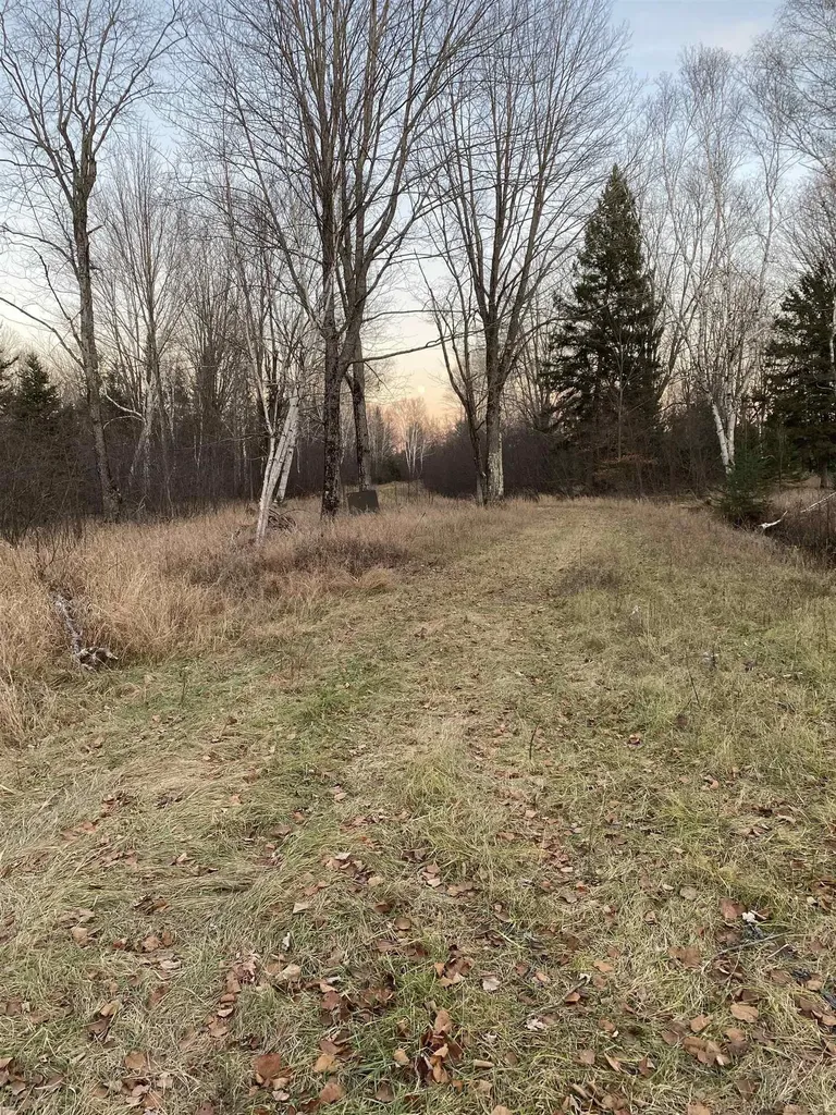 4011 Sandall Road Maple Ridge Township MI 49707