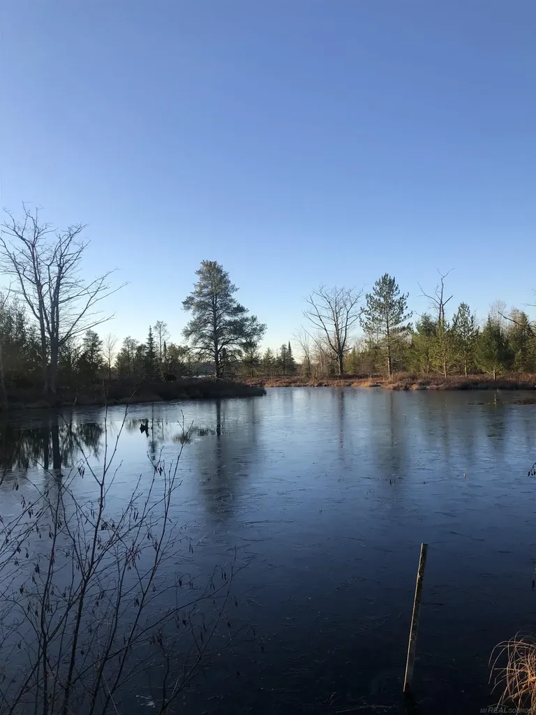 4011 Sandall Road Maple Ridge Township MI 49707