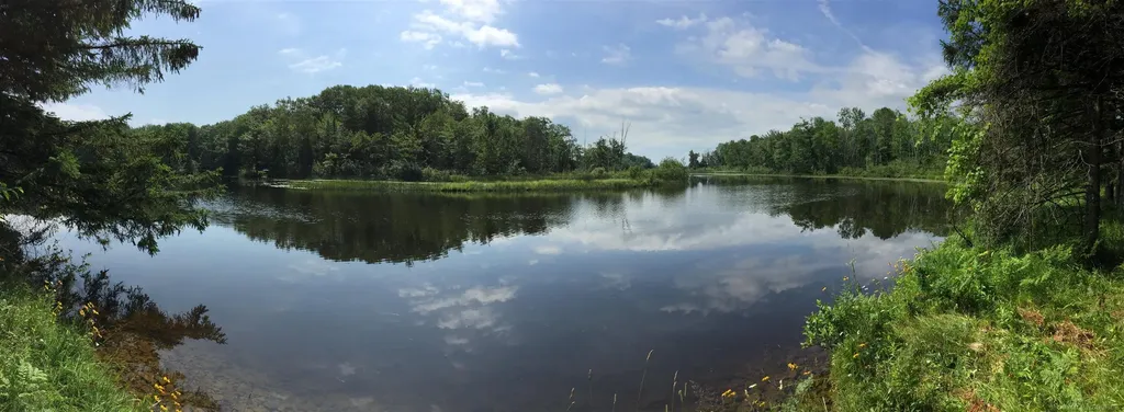 4011 Sandall Road Maple Ridge Township MI 49707