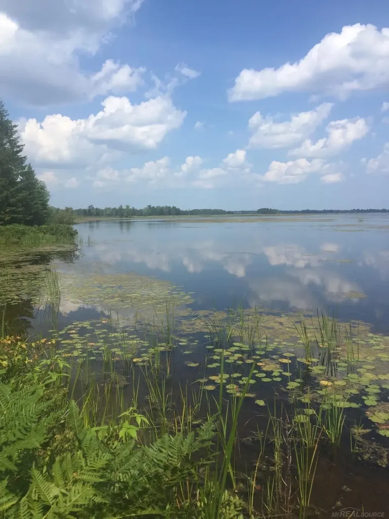 4011 Sandall Road Maple Ridge Township MI 49707