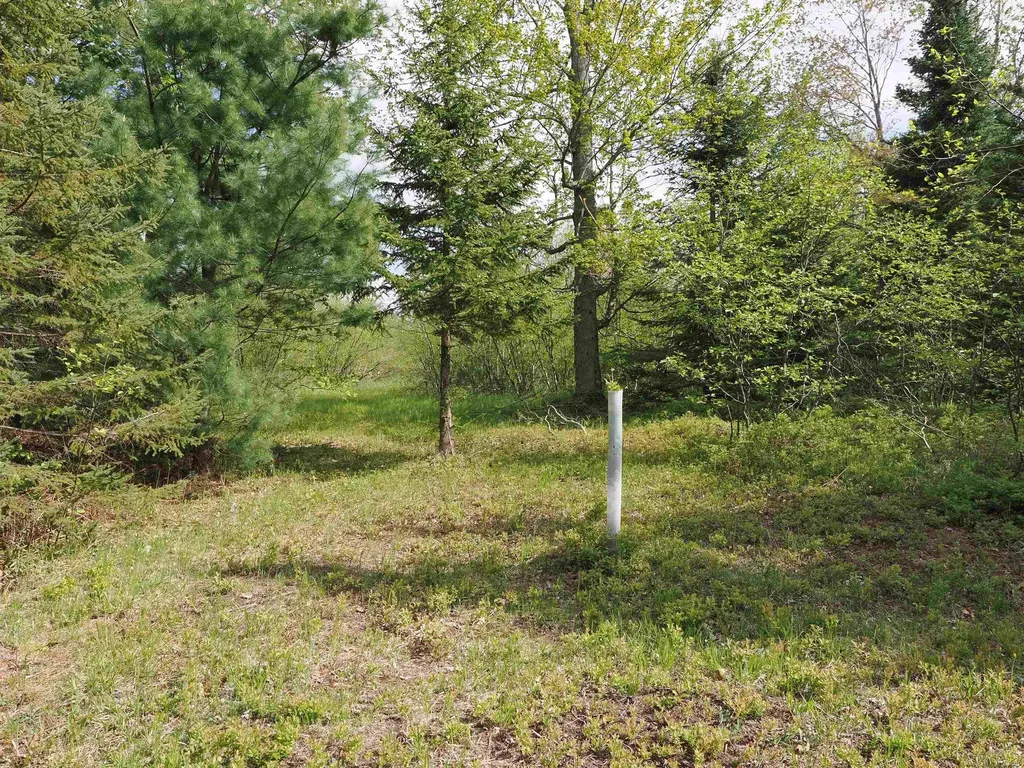 4011 Sandall Road Maple Ridge Township MI 49707