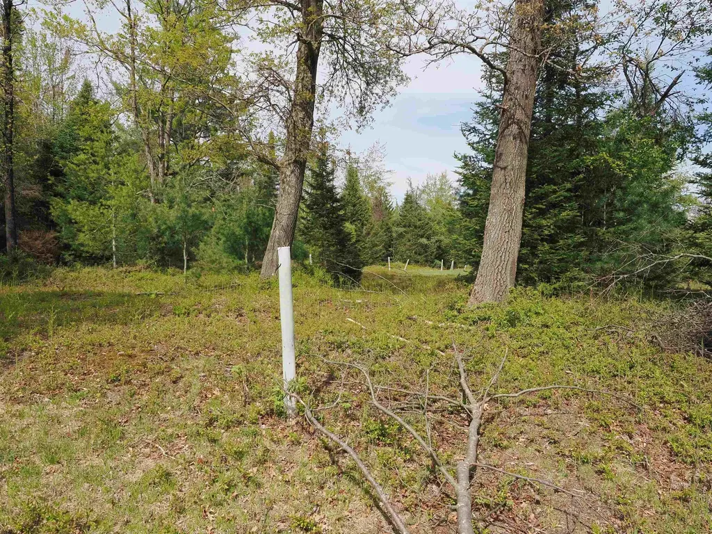 4011 Sandall Road Maple Ridge Township MI 49707