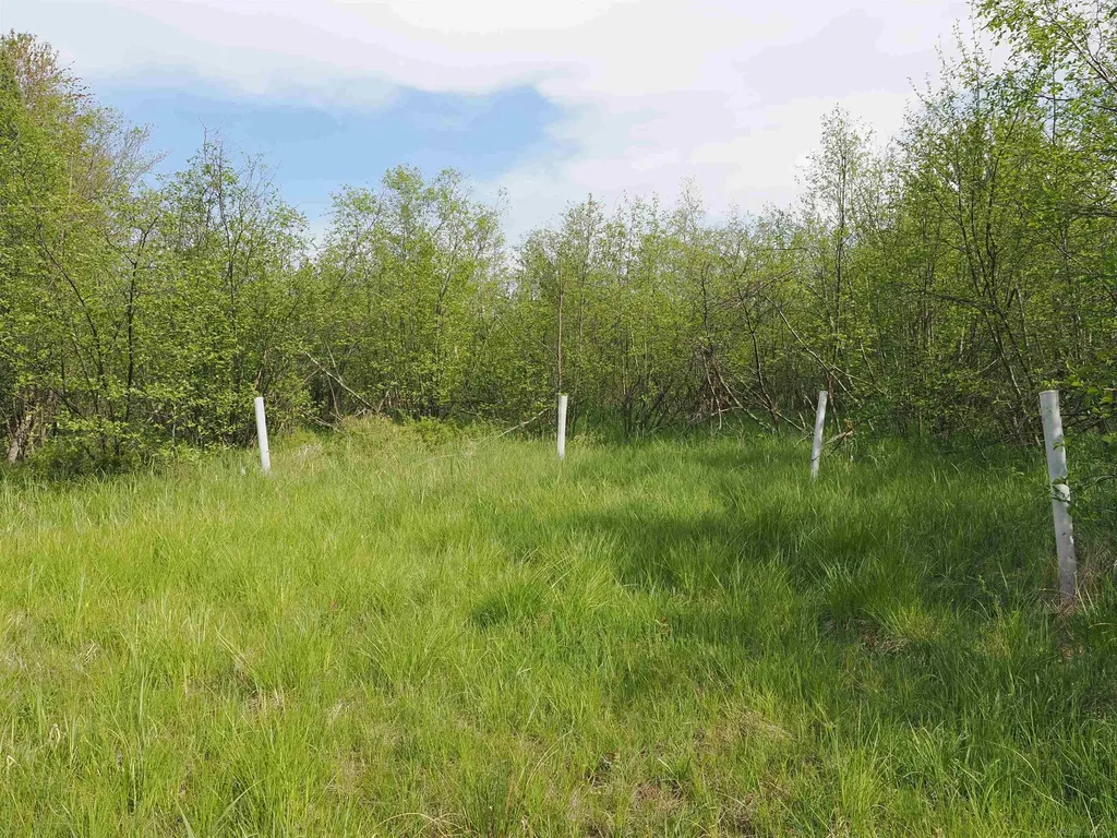 4011 Sandall Road Maple Ridge Township MI 49707