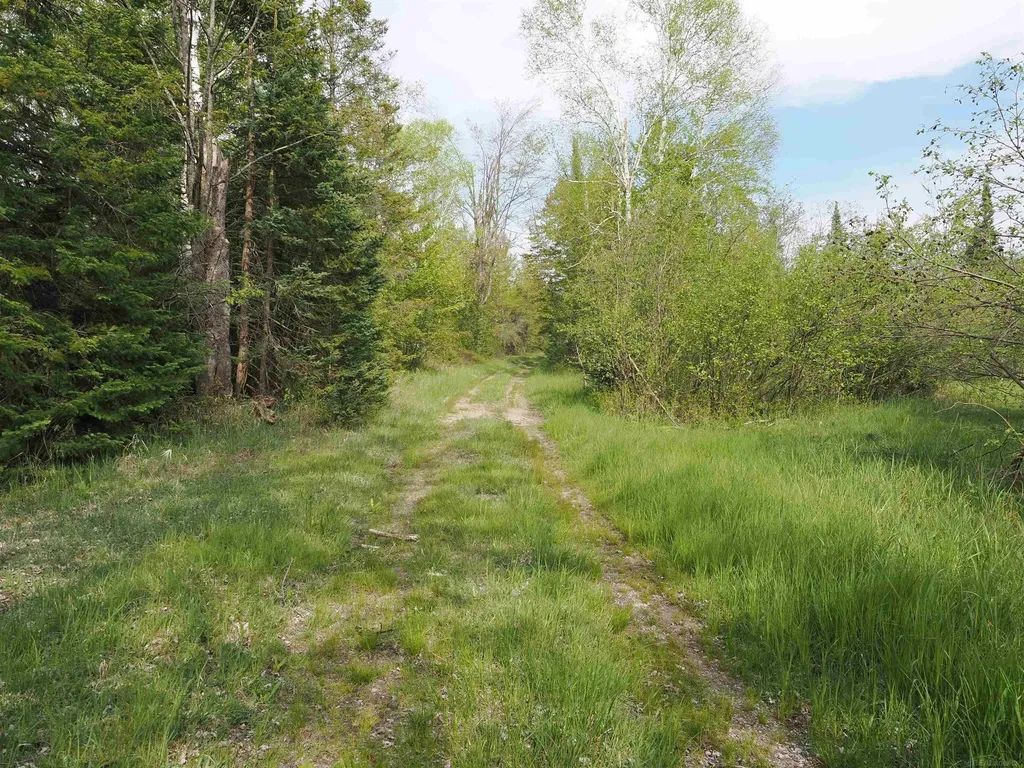 4011 Sandall Road Maple Ridge Township MI 49707