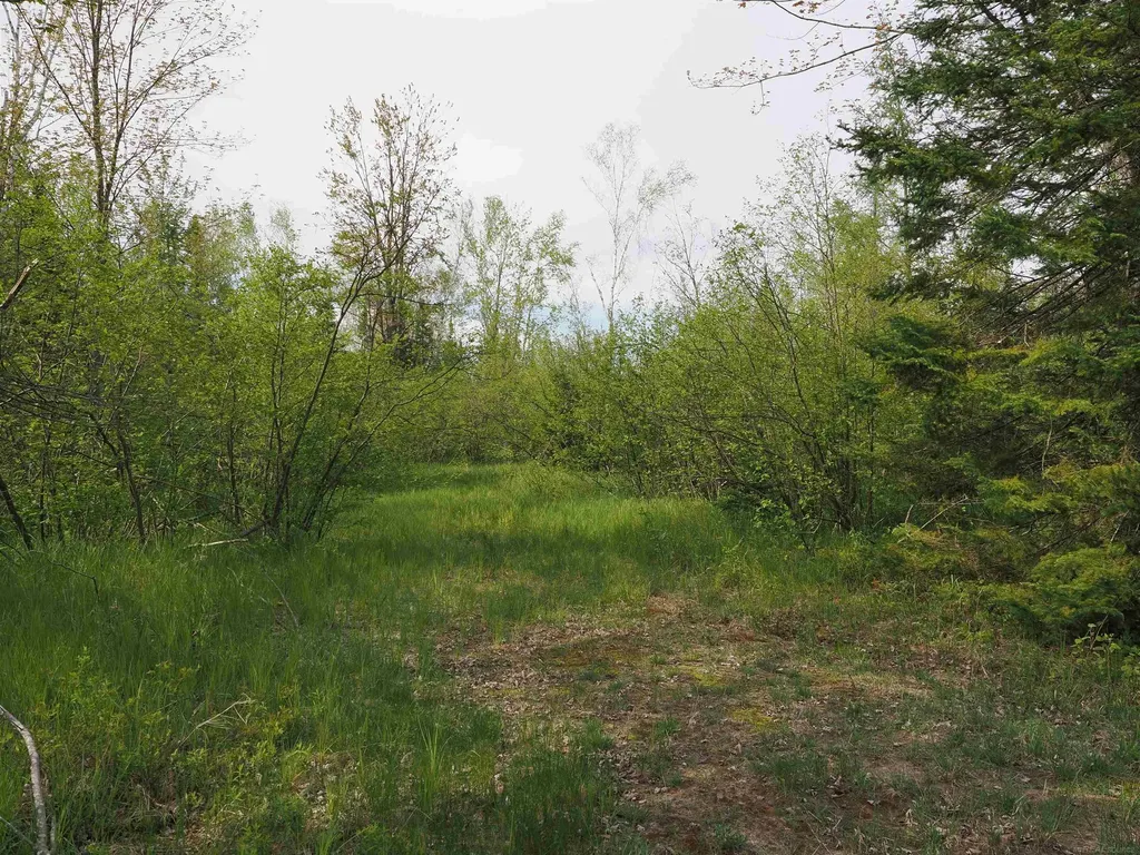 4011 Sandall Road Maple Ridge Township MI 49707