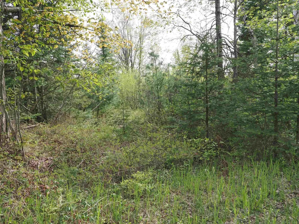 4011 Sandall Road Maple Ridge Township MI 49707