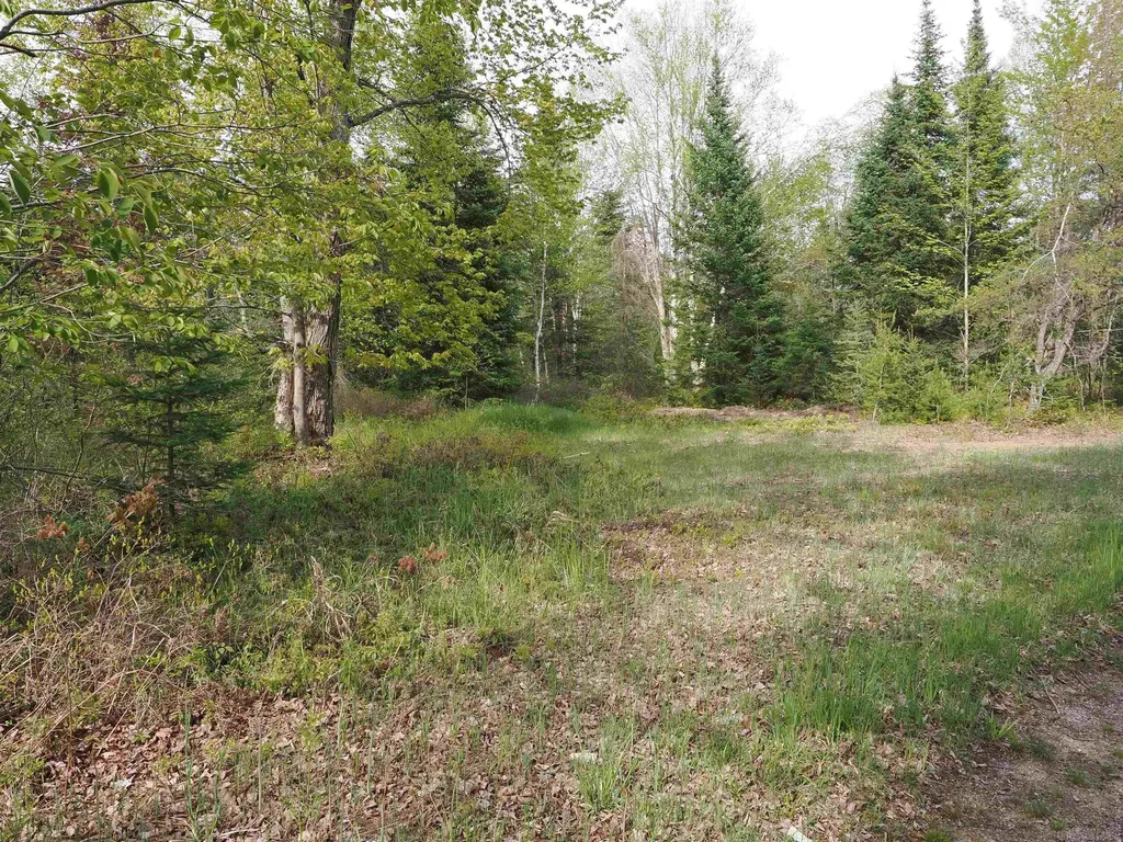 4011 Sandall Road Maple Ridge Township MI 49707