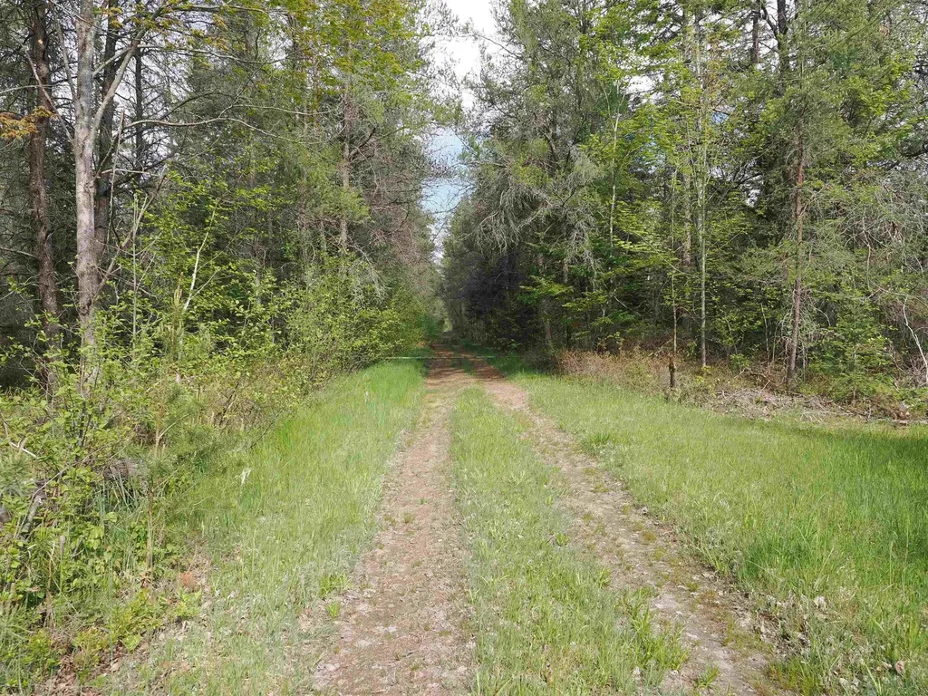 4011 Sandall Road Maple Ridge Township MI 49707