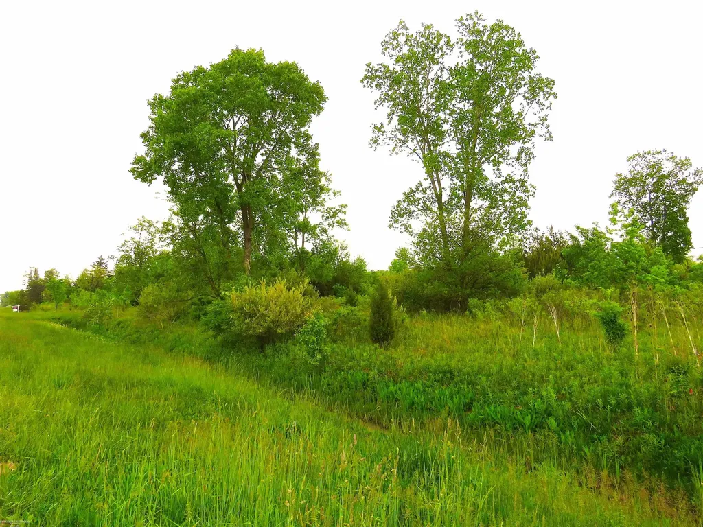 65002 Gratiot Road Lenox Township MI 48050