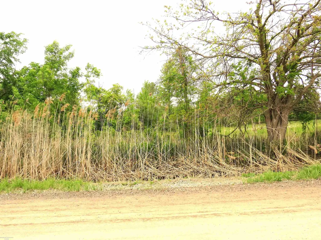 65002 Gratiot Road Lenox Township MI 48050