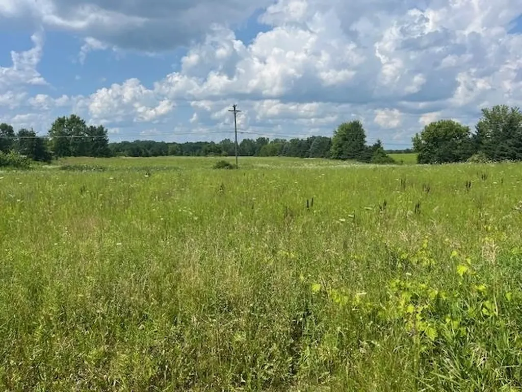 6839 Dryden Road Almont Township MI 48003