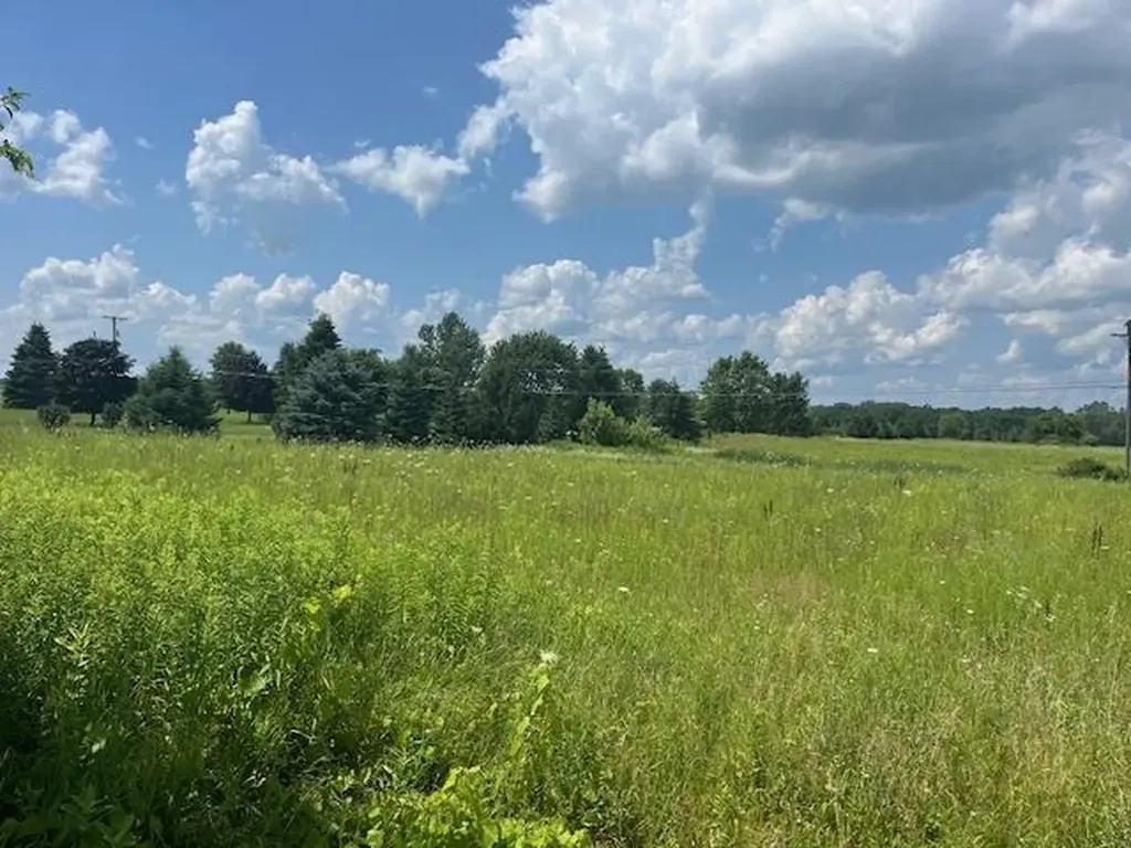 6839 Dryden Road Almont Township MI 48003