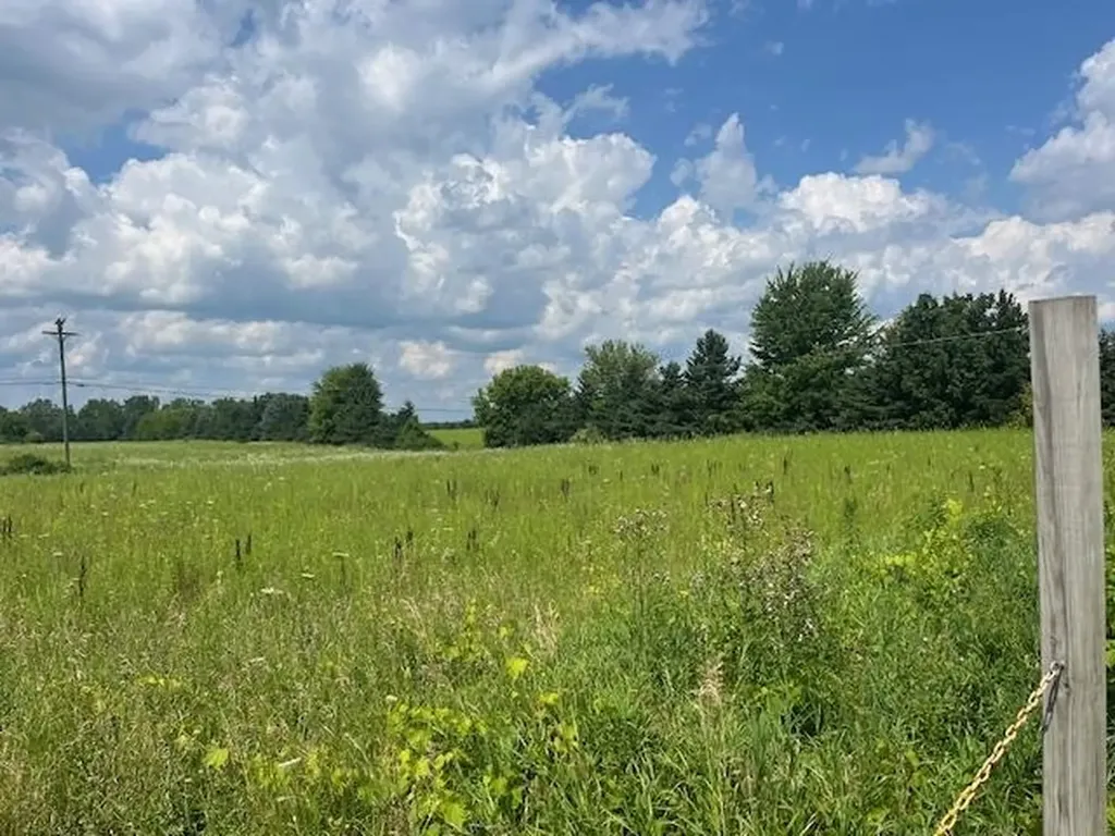 6839 Dryden Road Almont Township MI 48003