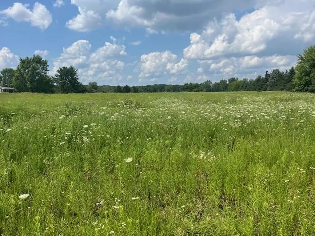 6839 Dryden Road Almont Township MI 48003