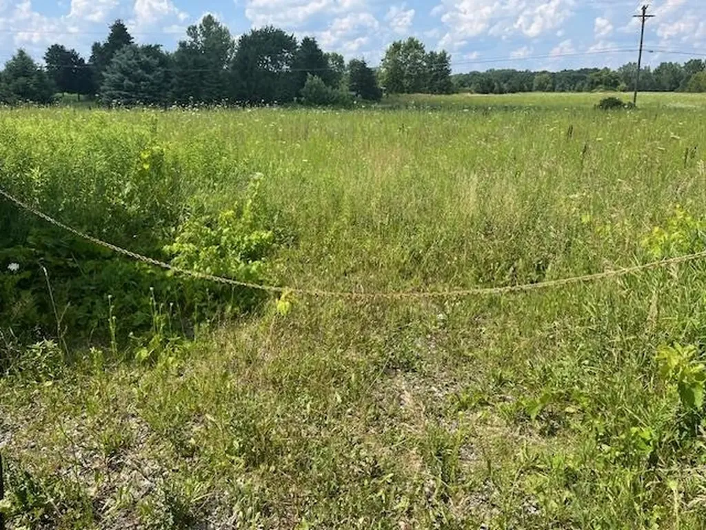 6839 Dryden Road Almont Township MI 48003