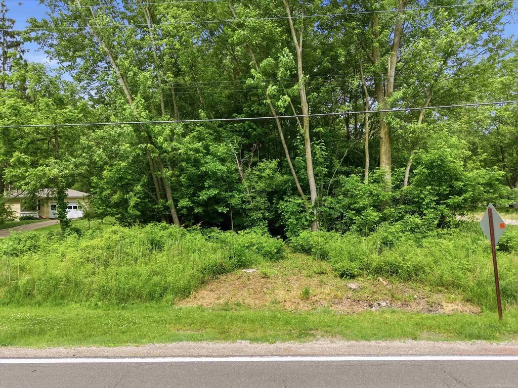 0000 Strawberry Lane Port Huron Charter Township MI 48060