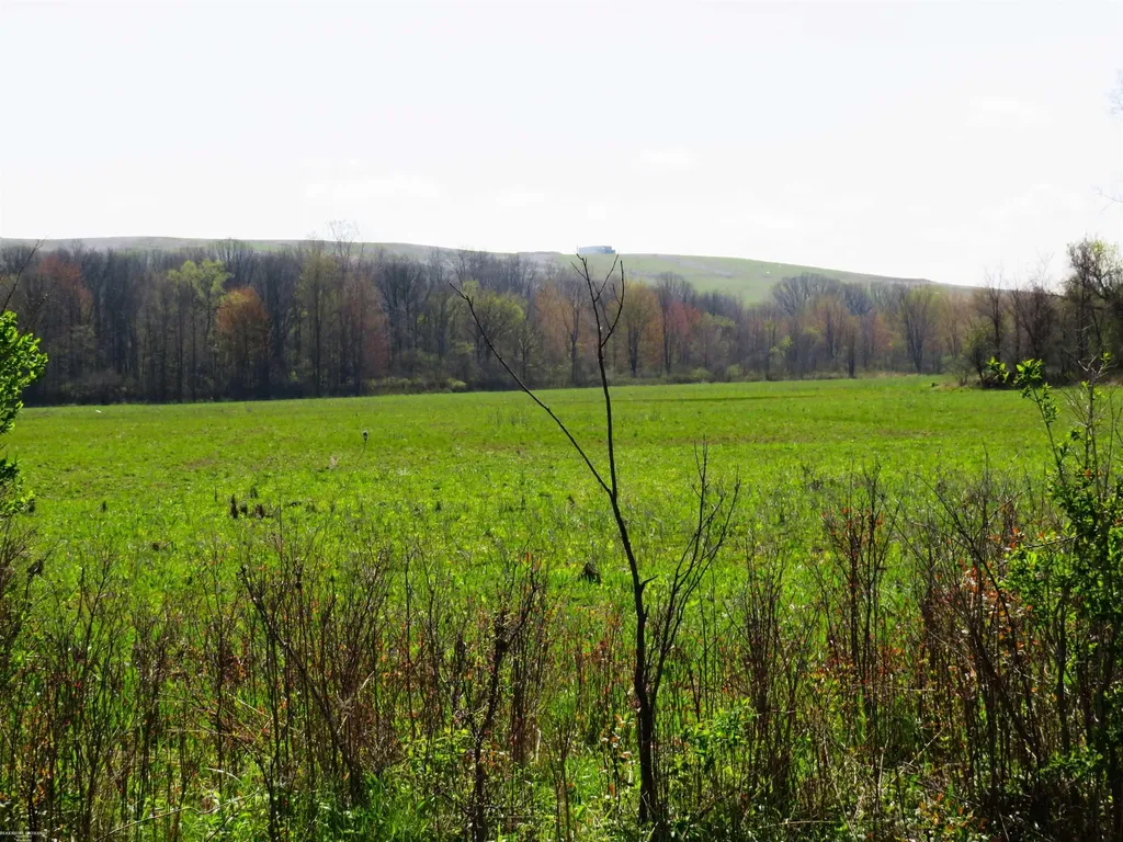 0 Gratiot Road Lenox Township MI 48048
