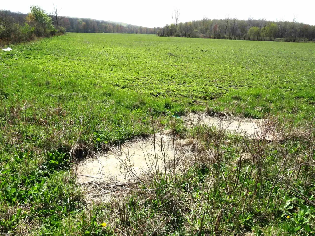 0 Gratiot Road Lenox Township MI 48048