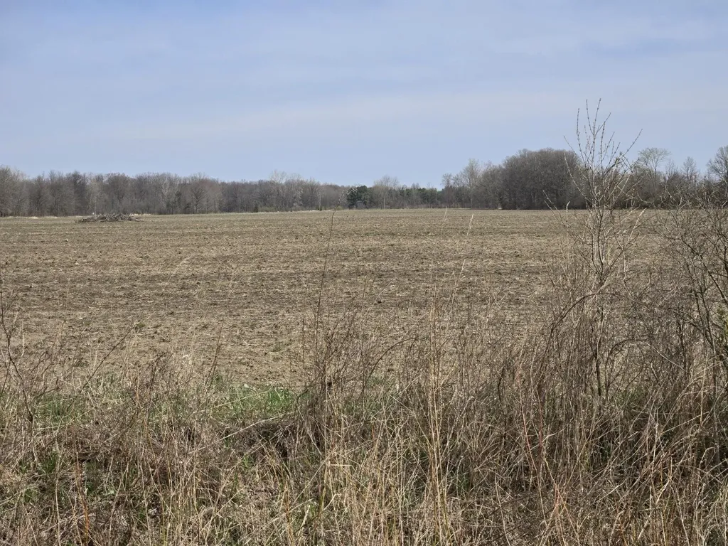 0 Meskill (lot D) Road Columbus Township MI 48063