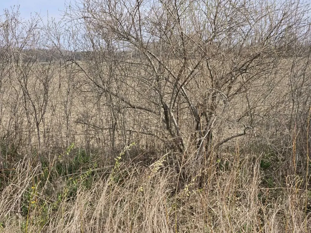 0 Meskill (lot D) Road Columbus Township MI 48063