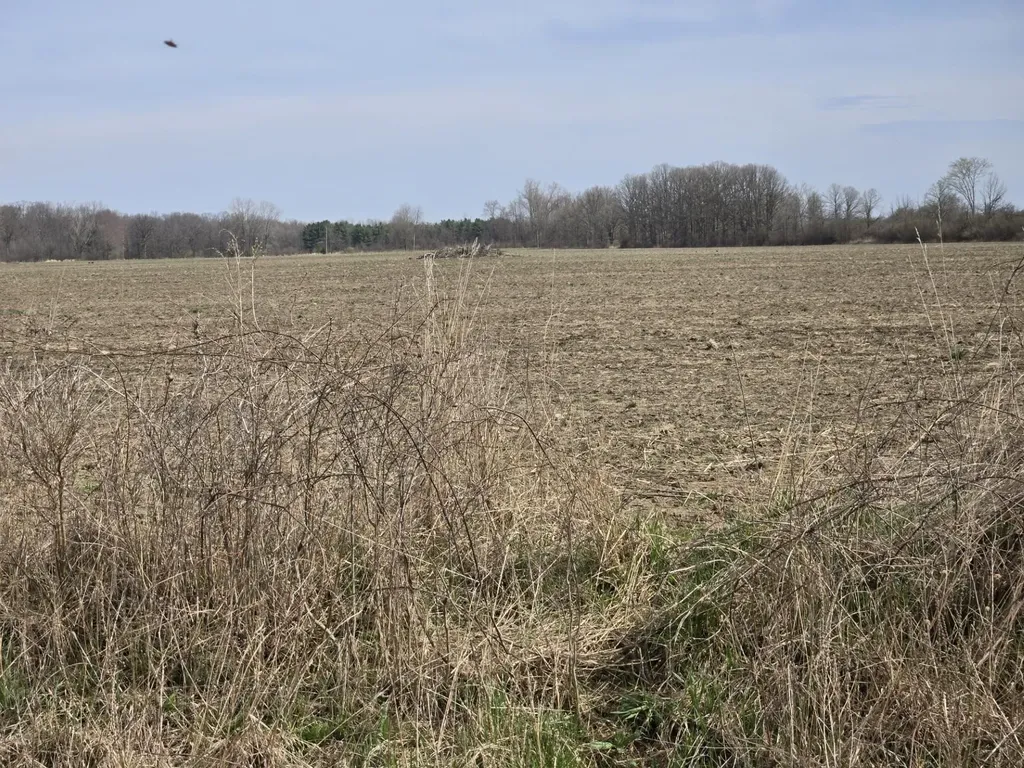 0 Meskill (lot D) Road Columbus Township MI 48063