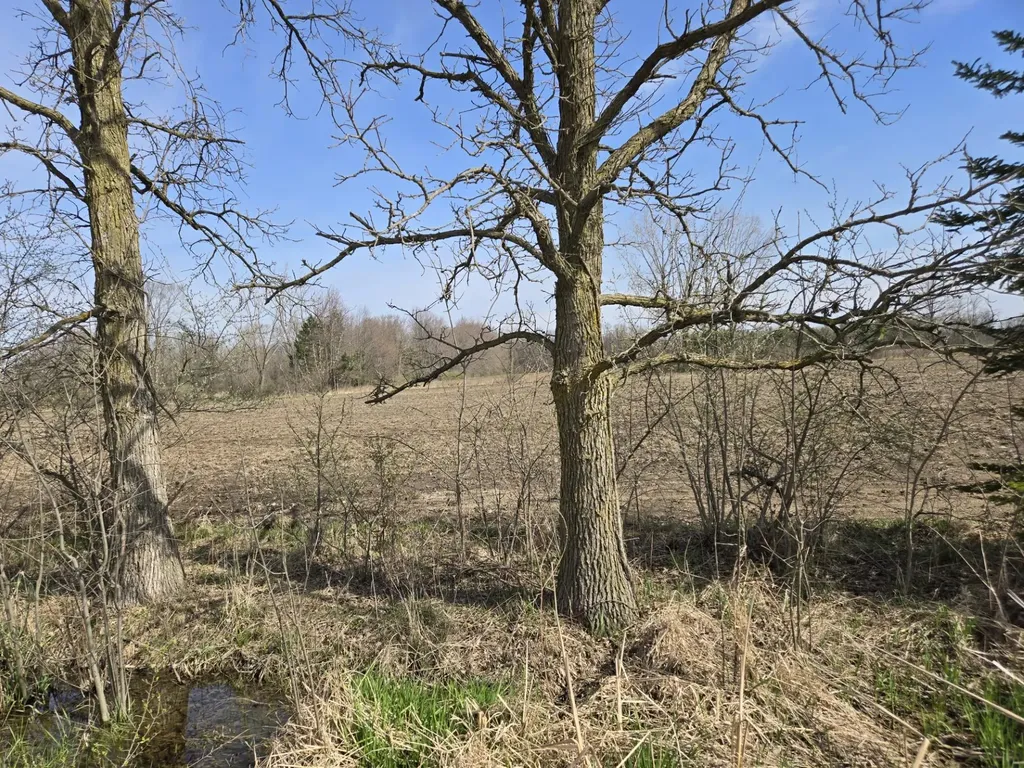 0 Meskill (lot D) Road Columbus Township MI 48063