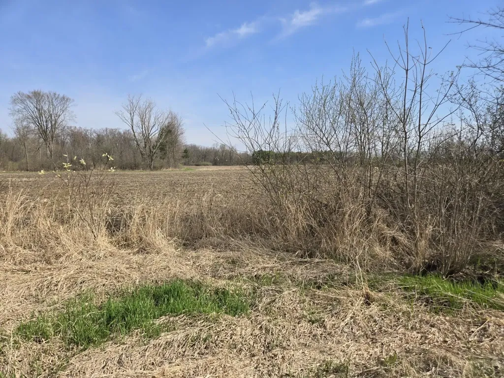 0 Meskill (lot D) Road Columbus Township MI 48063