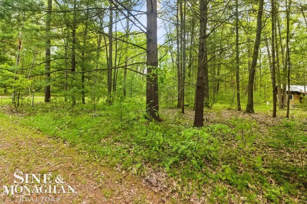 00 Breckenridge Street Markey Township MI 48629
