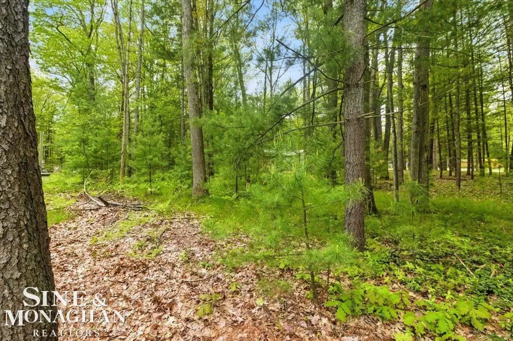 00 Breckenridge Street Markey Township MI 48629