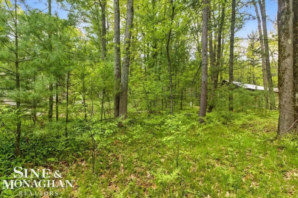 00 Breckenridge Street Markey Township MI 48629