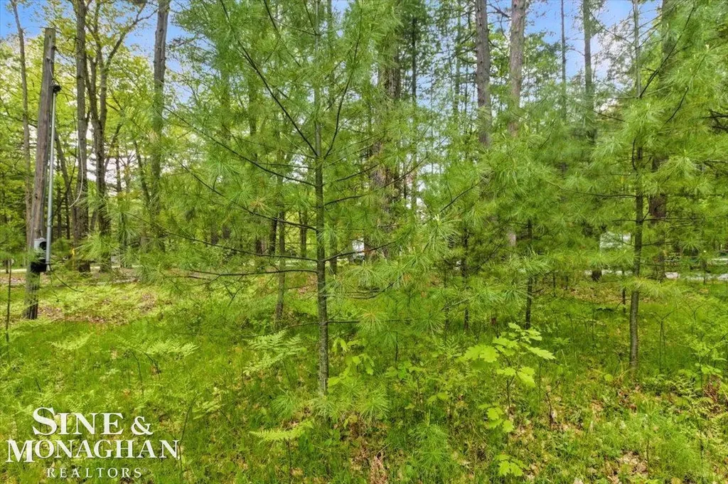 00 Breckenridge Street Markey Township MI 48629