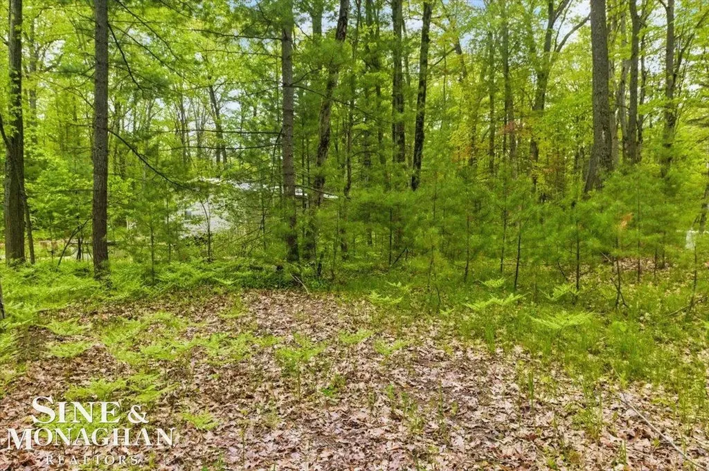 00 Breckenridge Street Markey Township MI 48629