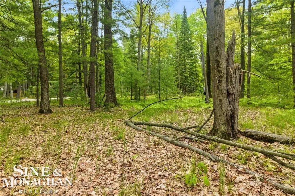00 Breckenridge Street Markey Township MI 48629