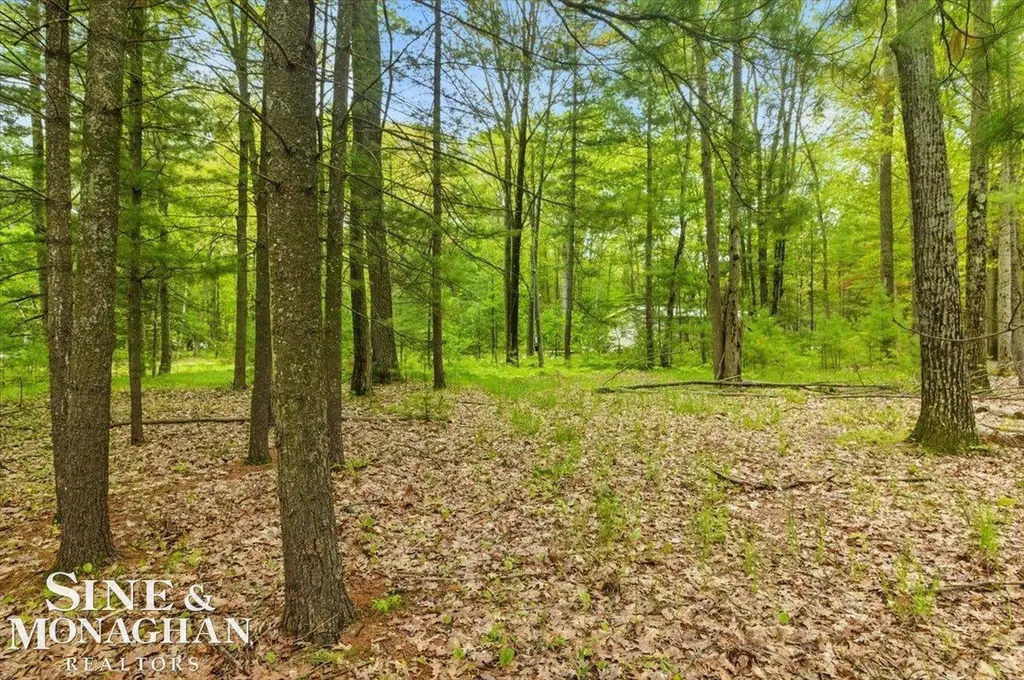 00 Breckenridge Street Markey Township MI 48629