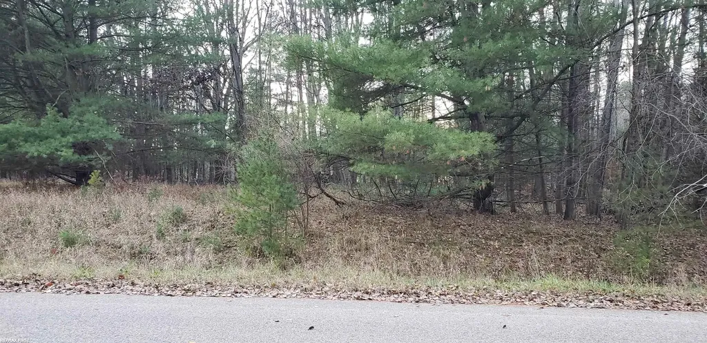 Robindale Way Gladwin City MI 48624