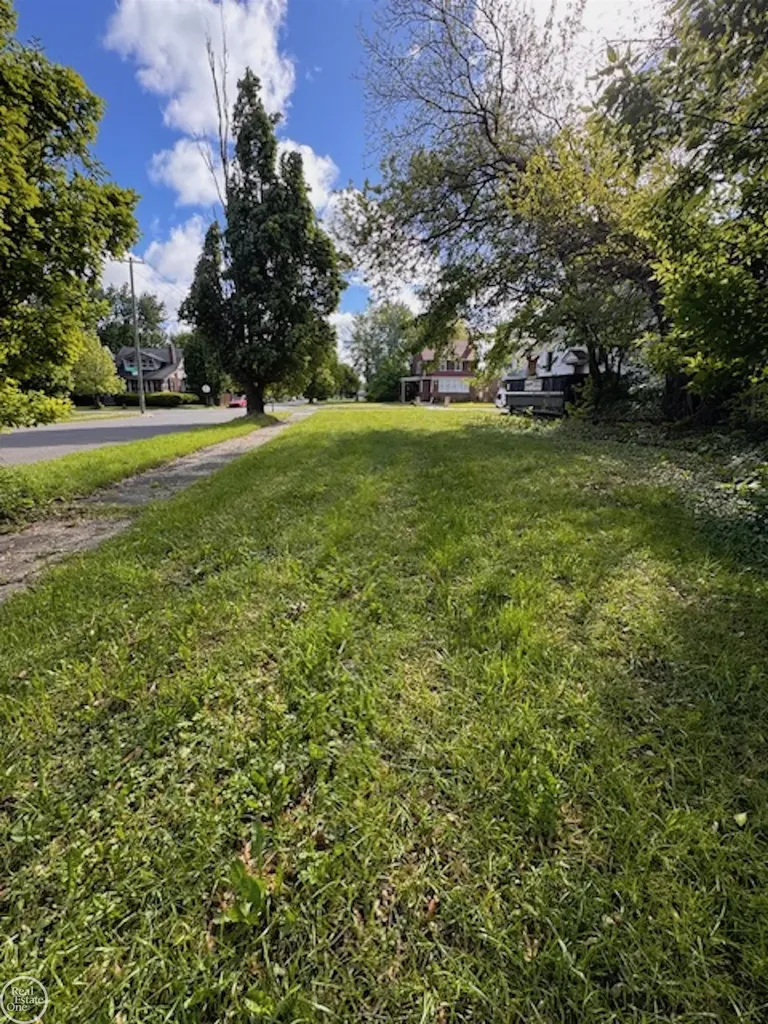395 Chalmers Street Detroit City MI 48215