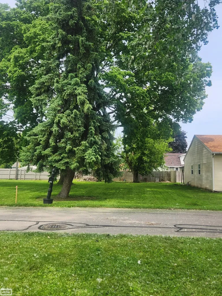 0 3rd Street Frenchtown Township MI 48162