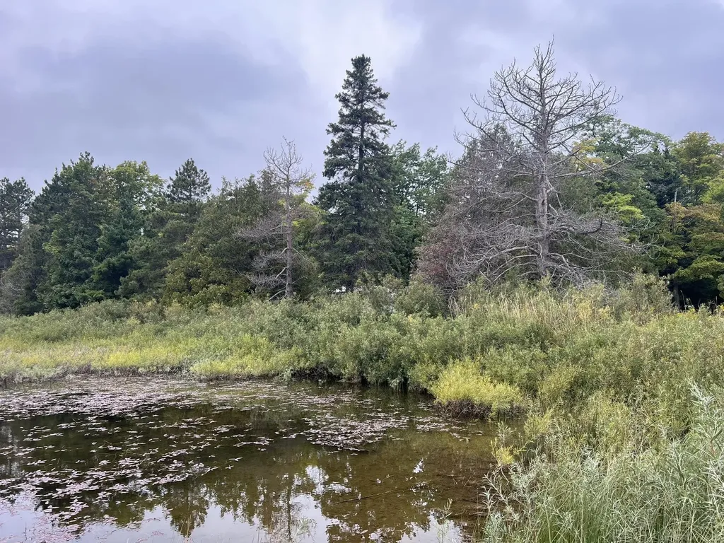 30410 Co Road 407 Road Mcmillan Township MI 49868