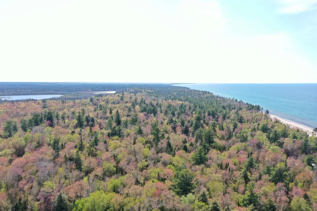 30410 Co Road 407 Road Mcmillan Township MI 49868