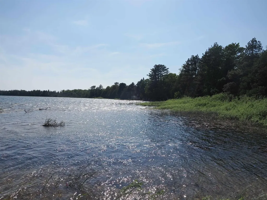 30410 Co Road 407 Road Mcmillan Township MI 49868